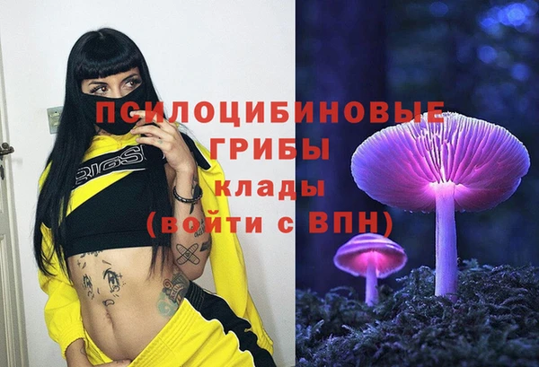 винт Алексеевка